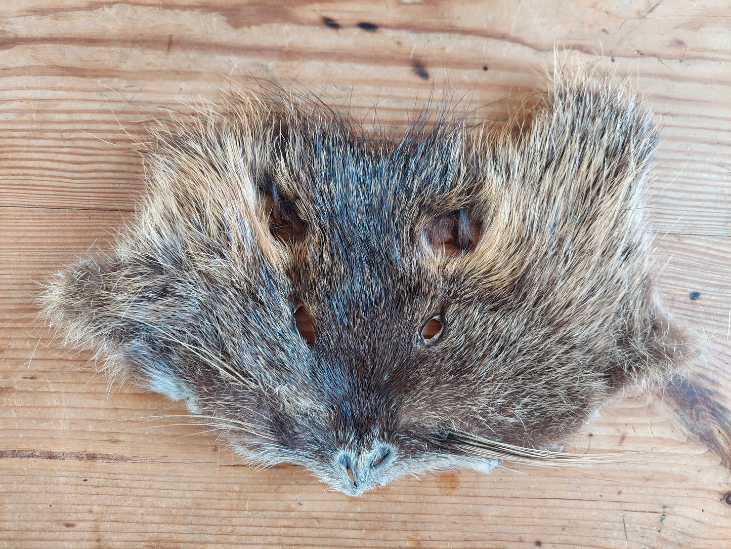 Beaver rat head skins