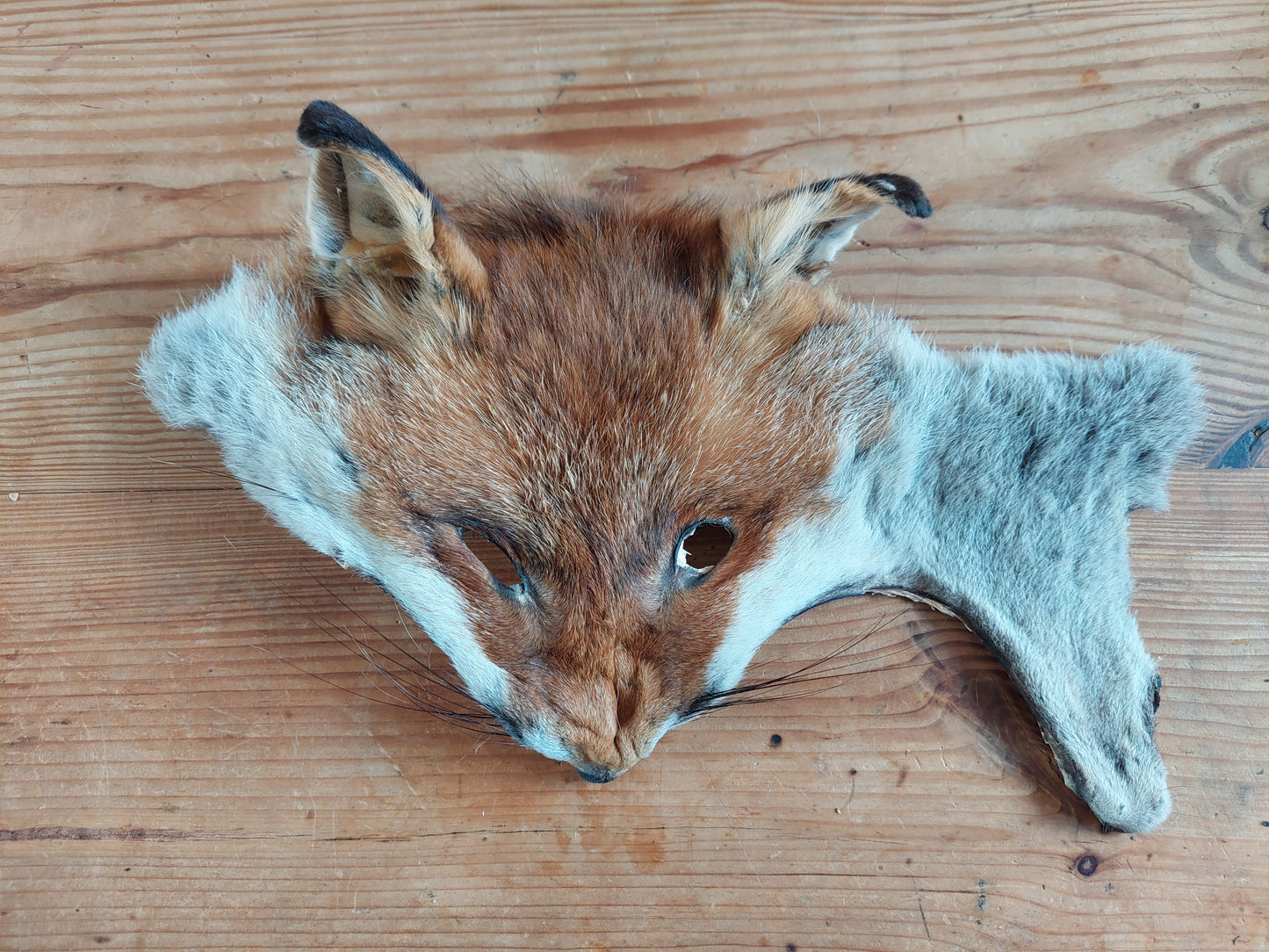 Fox head skins