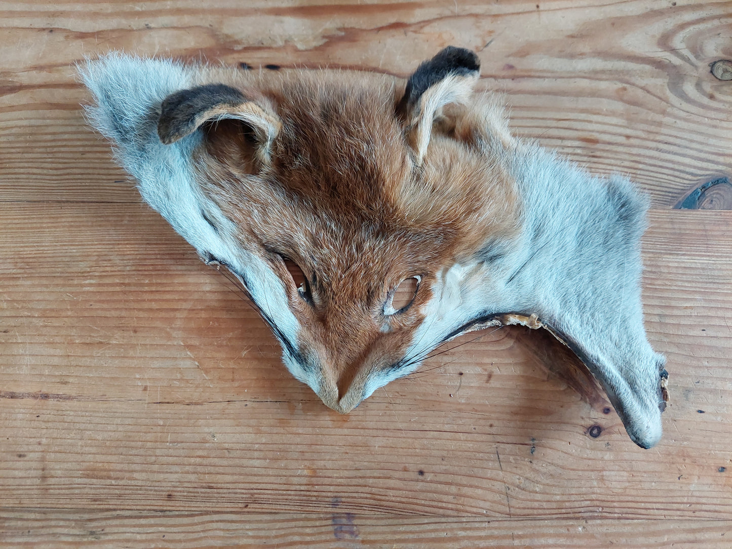 Fox head skins