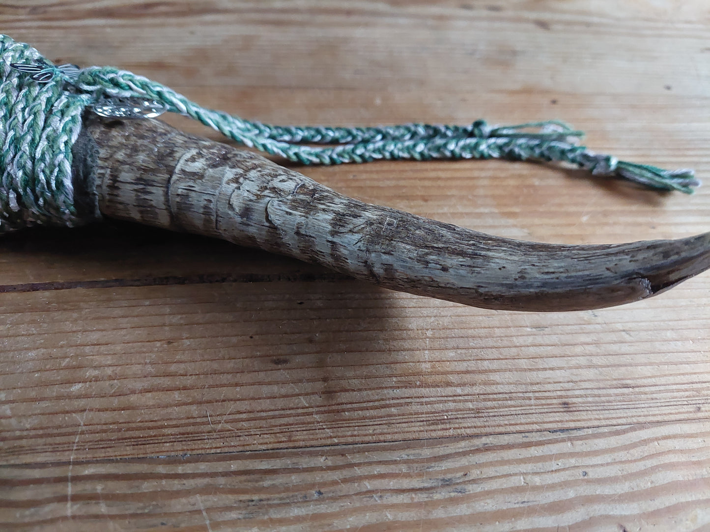 Sheep horn rattle