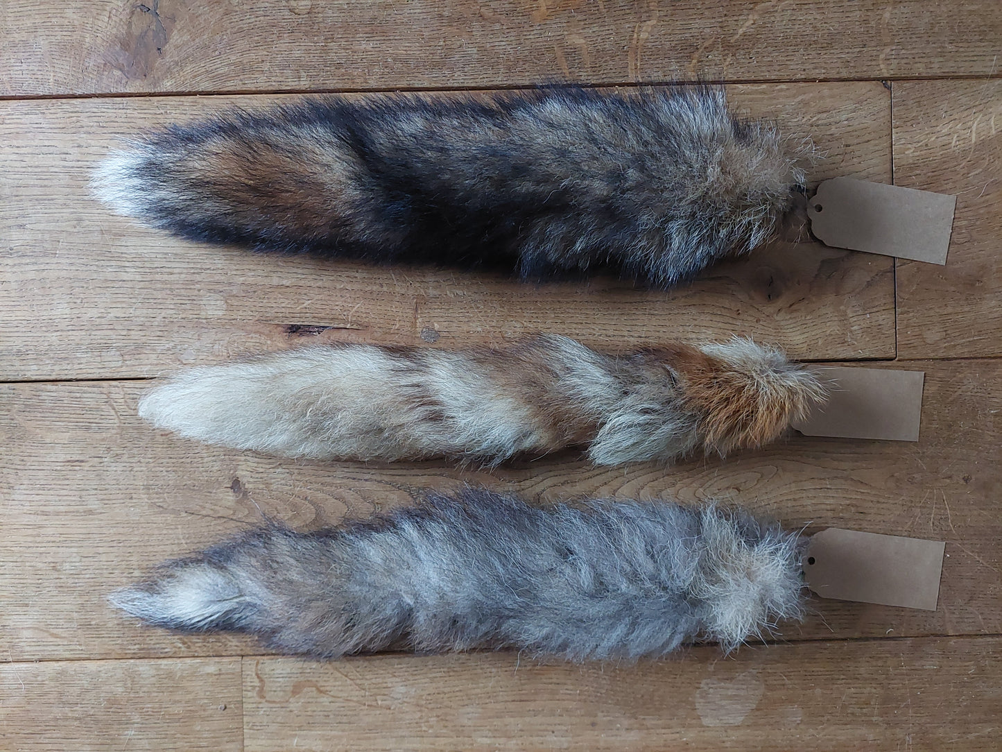 Red fox tails