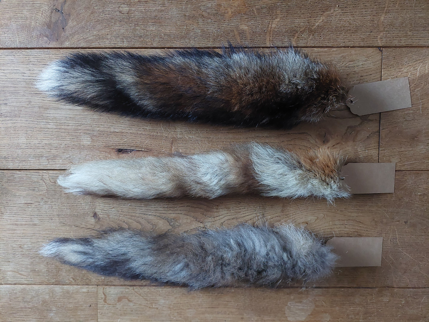 Red fox tails