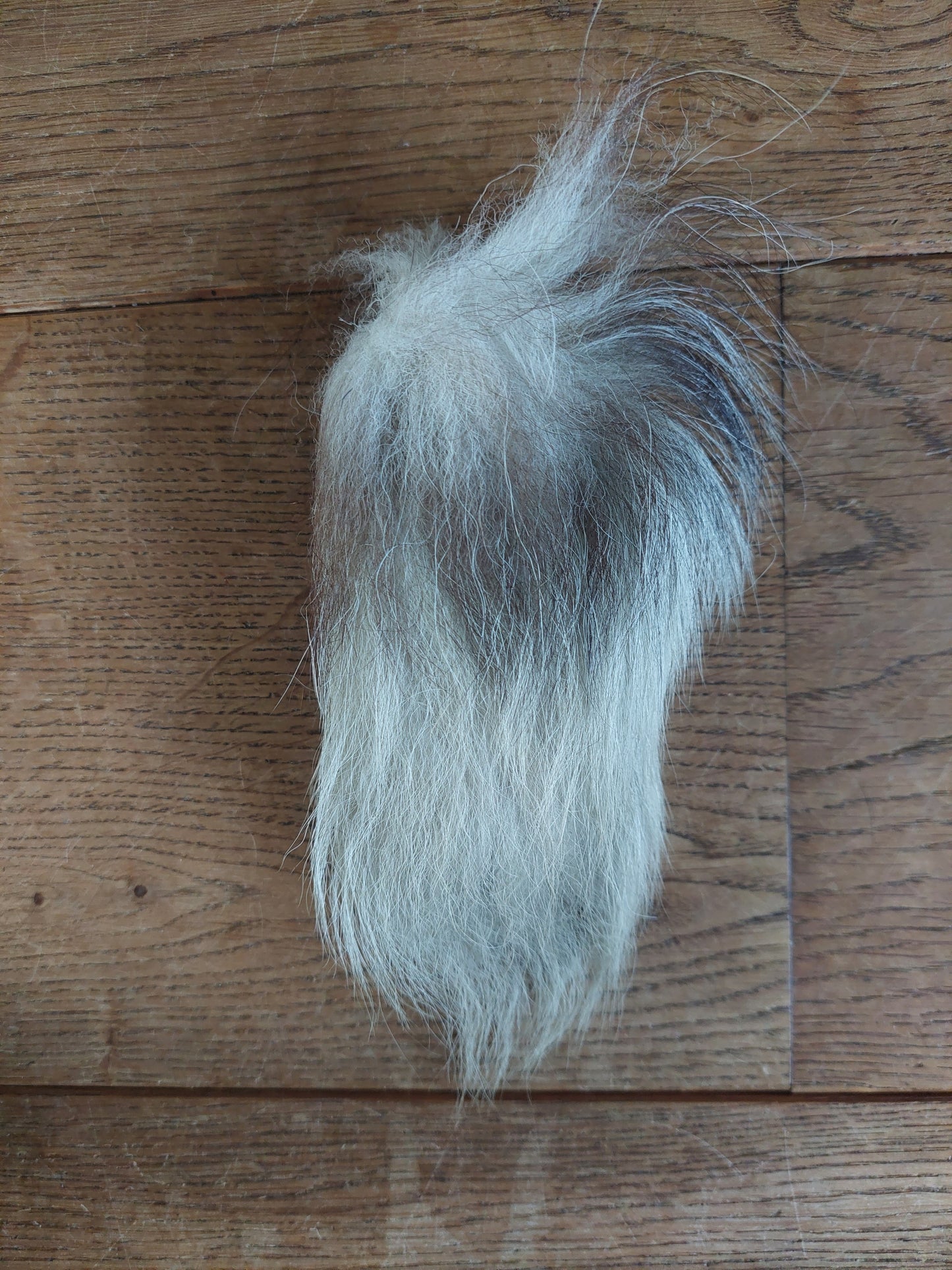 Fox tail tips