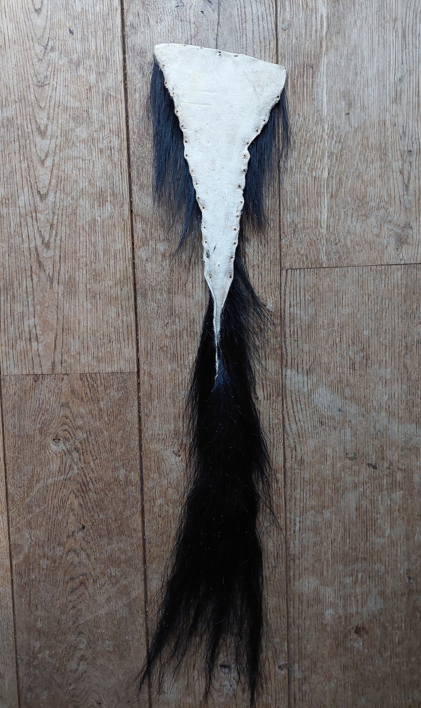 Horse tail #1