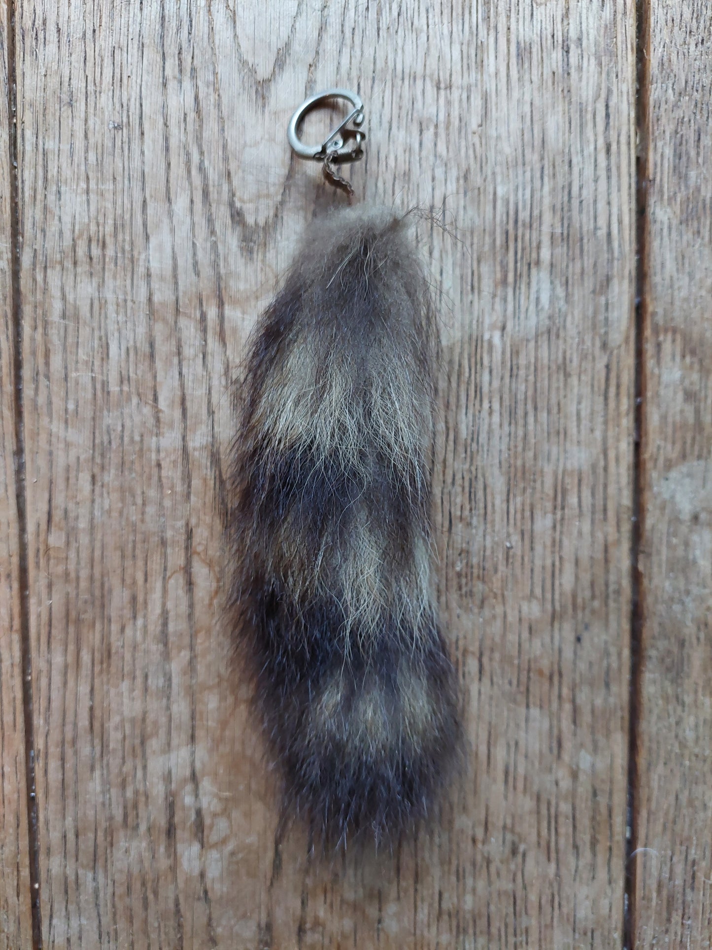 Racoon tail keychain