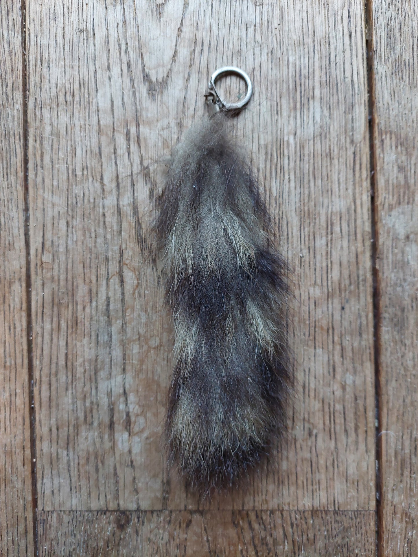 Racoon tail keychain