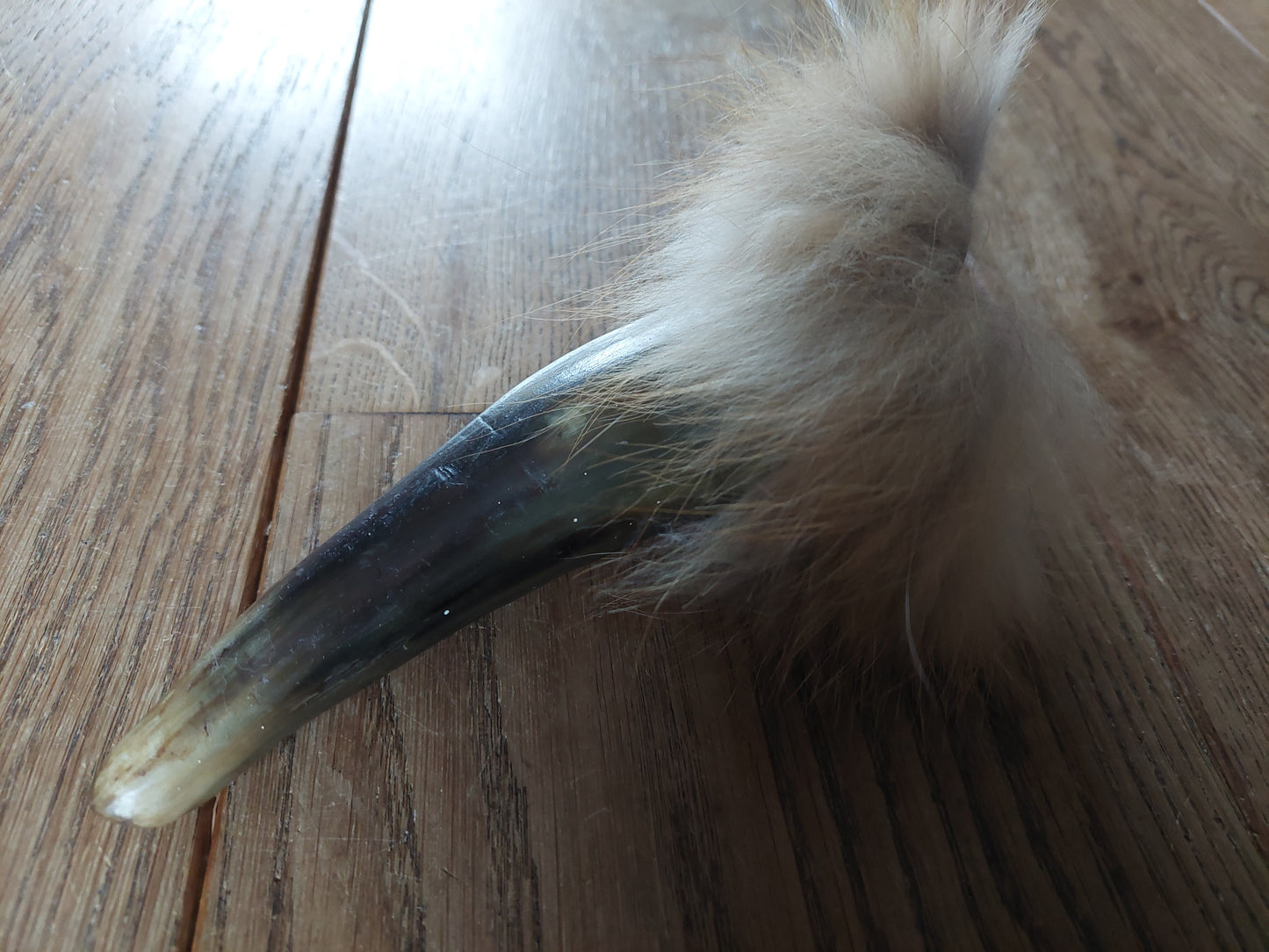 Cow horn and fox fur rattle