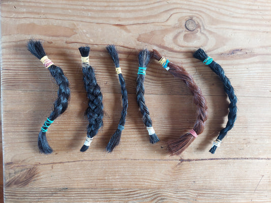 Horse mane hair braids