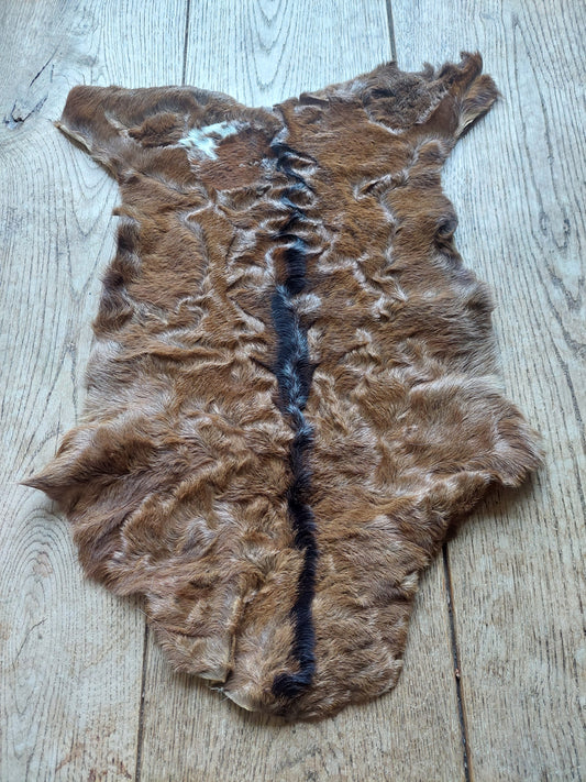 Baby goat hide