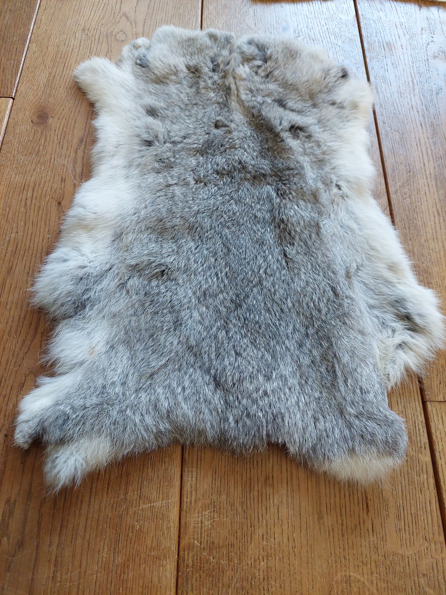 Rabbit hide #3