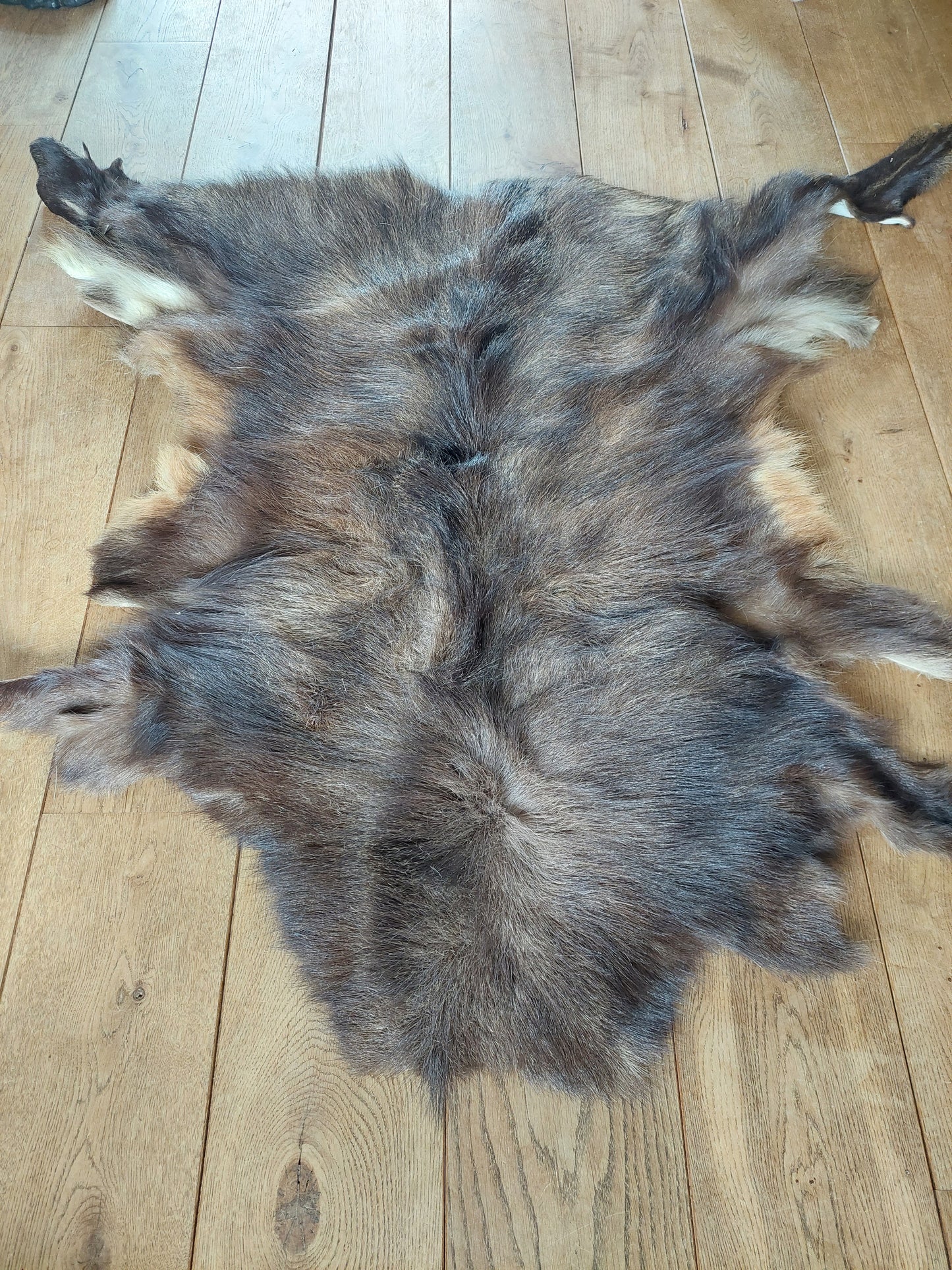 Chamois hide