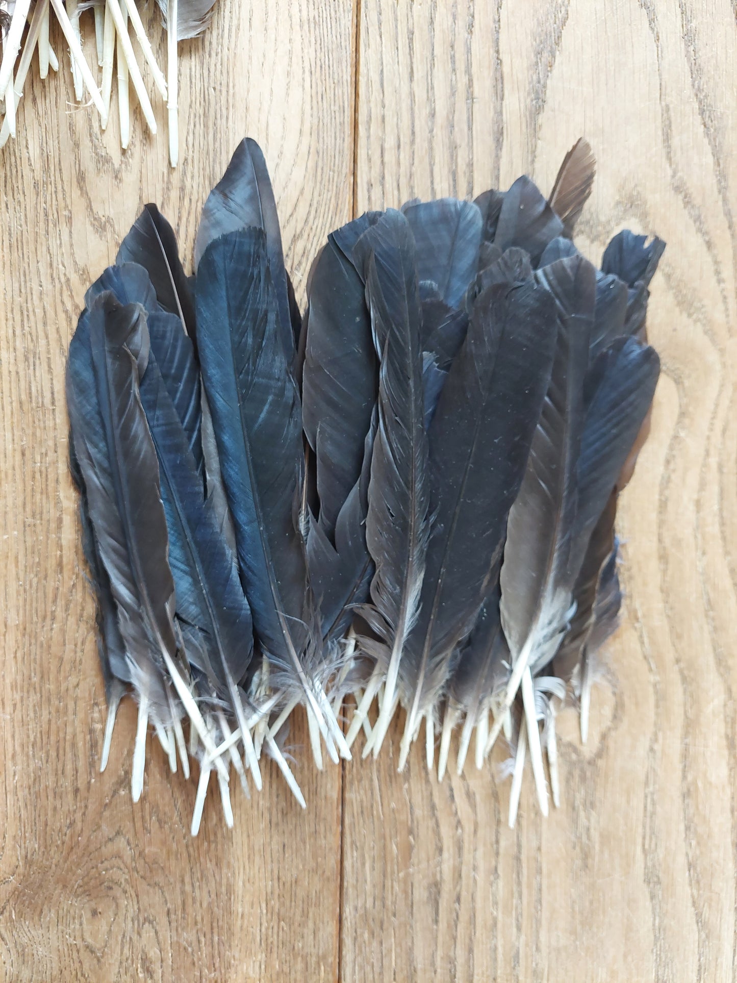 Crow feathers