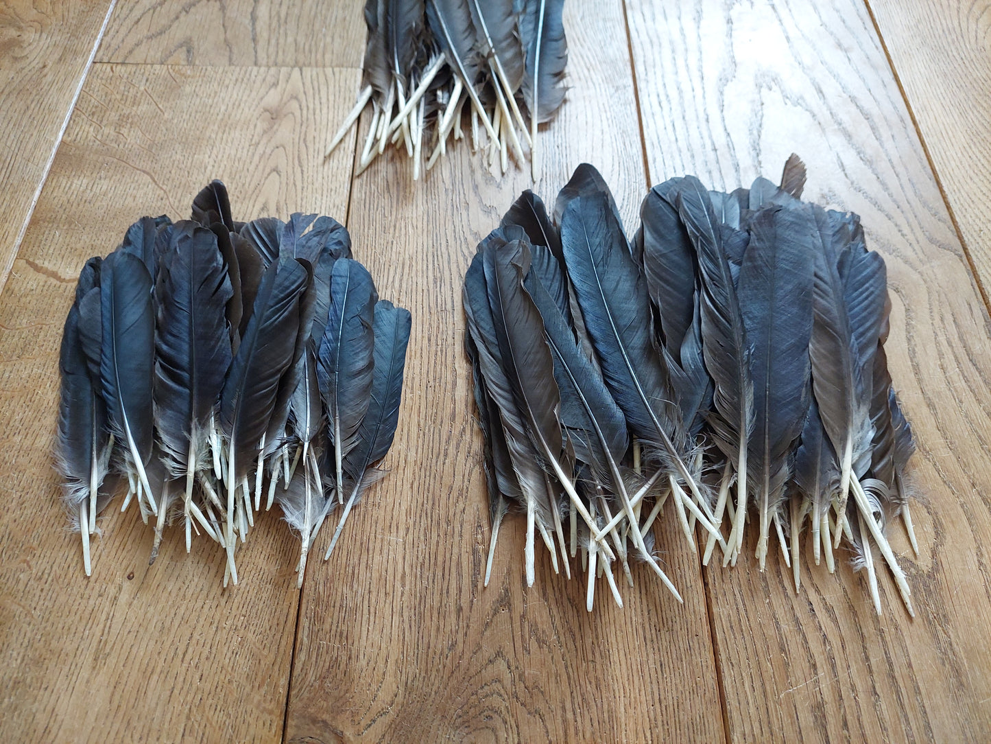 Crow feathers