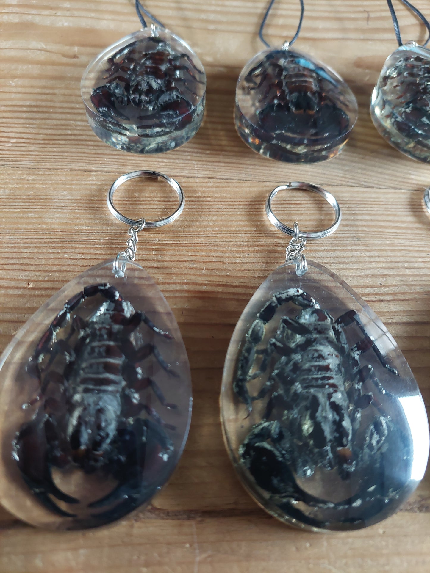 Scorpions in resin