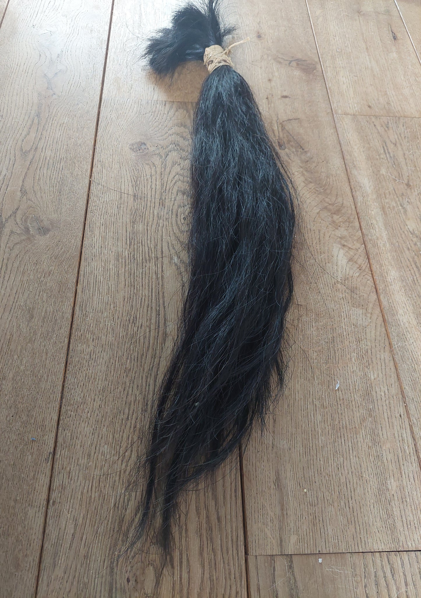 Horse tail #2