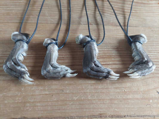 Musk rat paw necklace