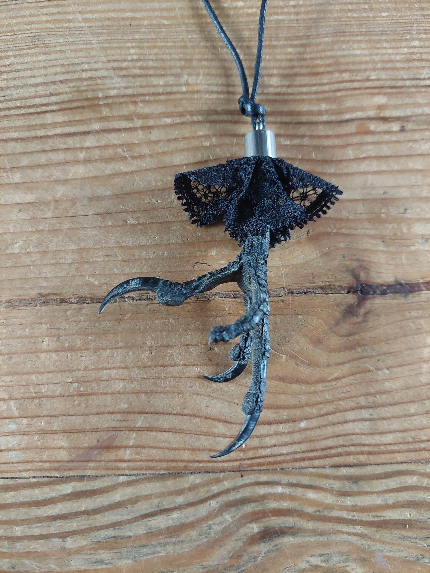 Crow claw amulet necklace