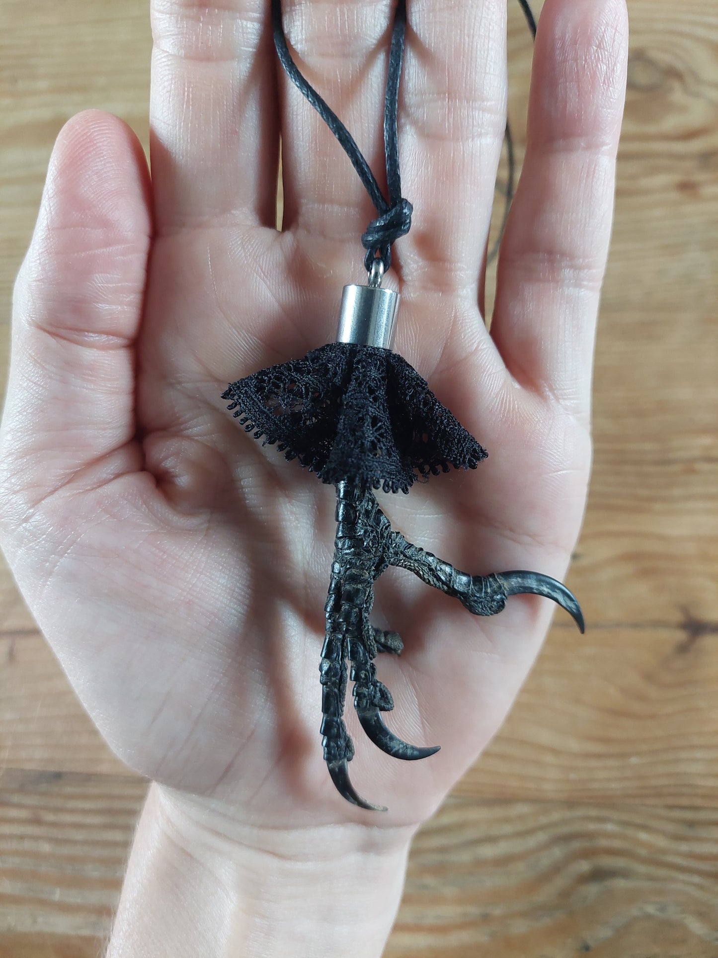 Crow claw amulet necklace