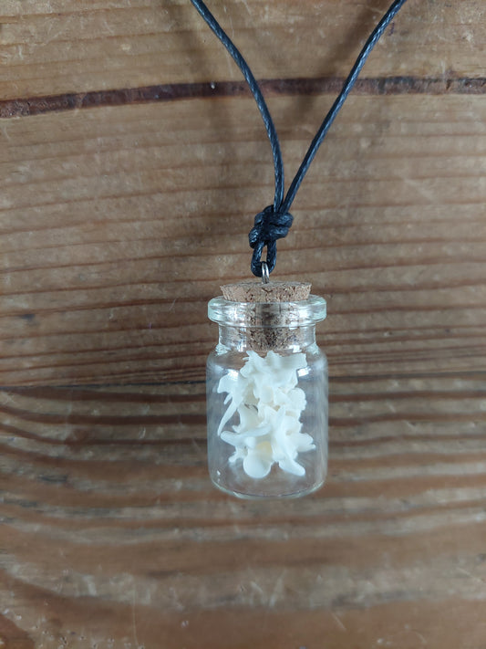 Grass snake vertebrae amulet necklace
