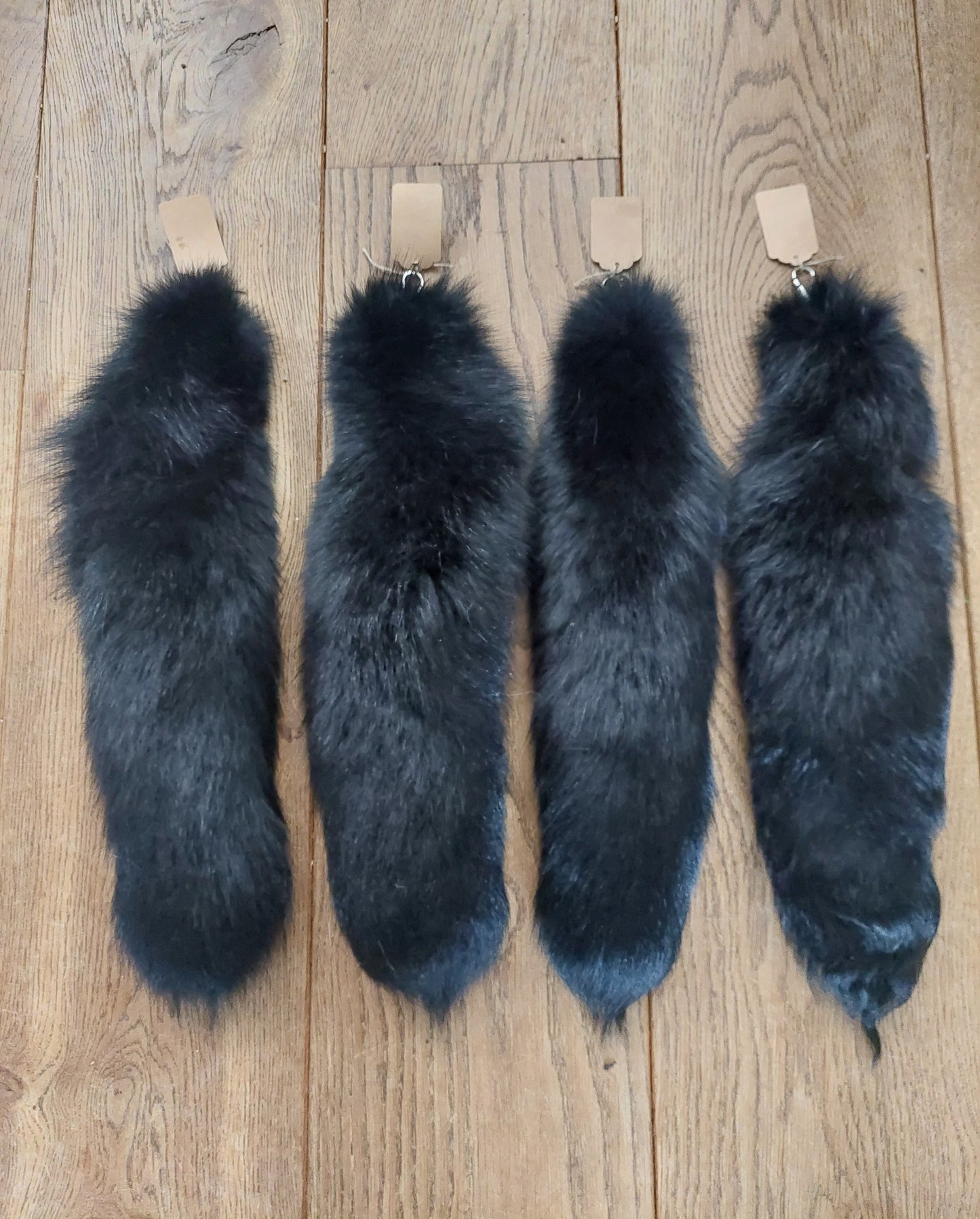 Black silverfox tails