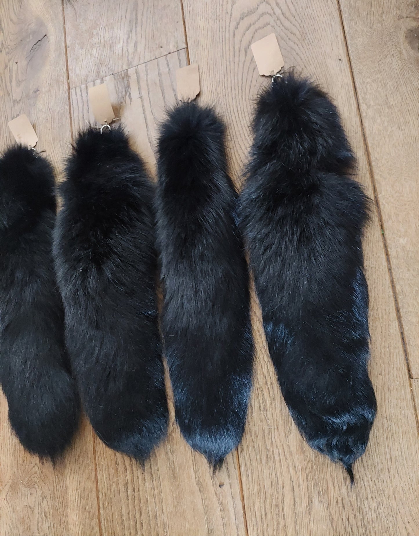 Black silverfox tails