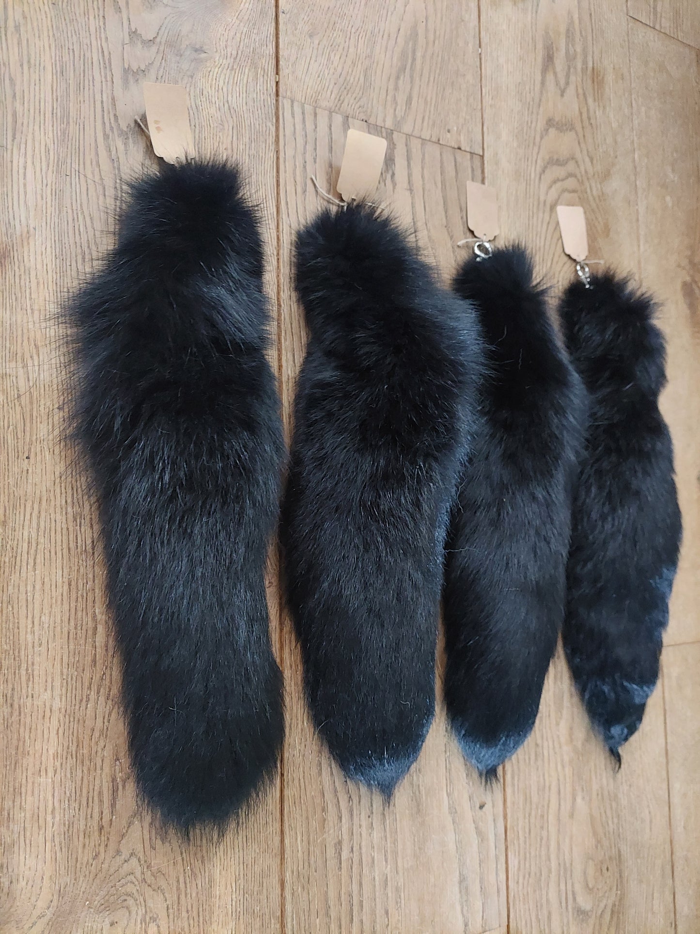 Black silverfox tails