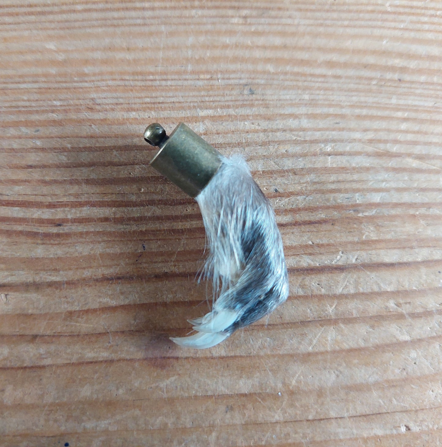 Musk rat paw pendant #1