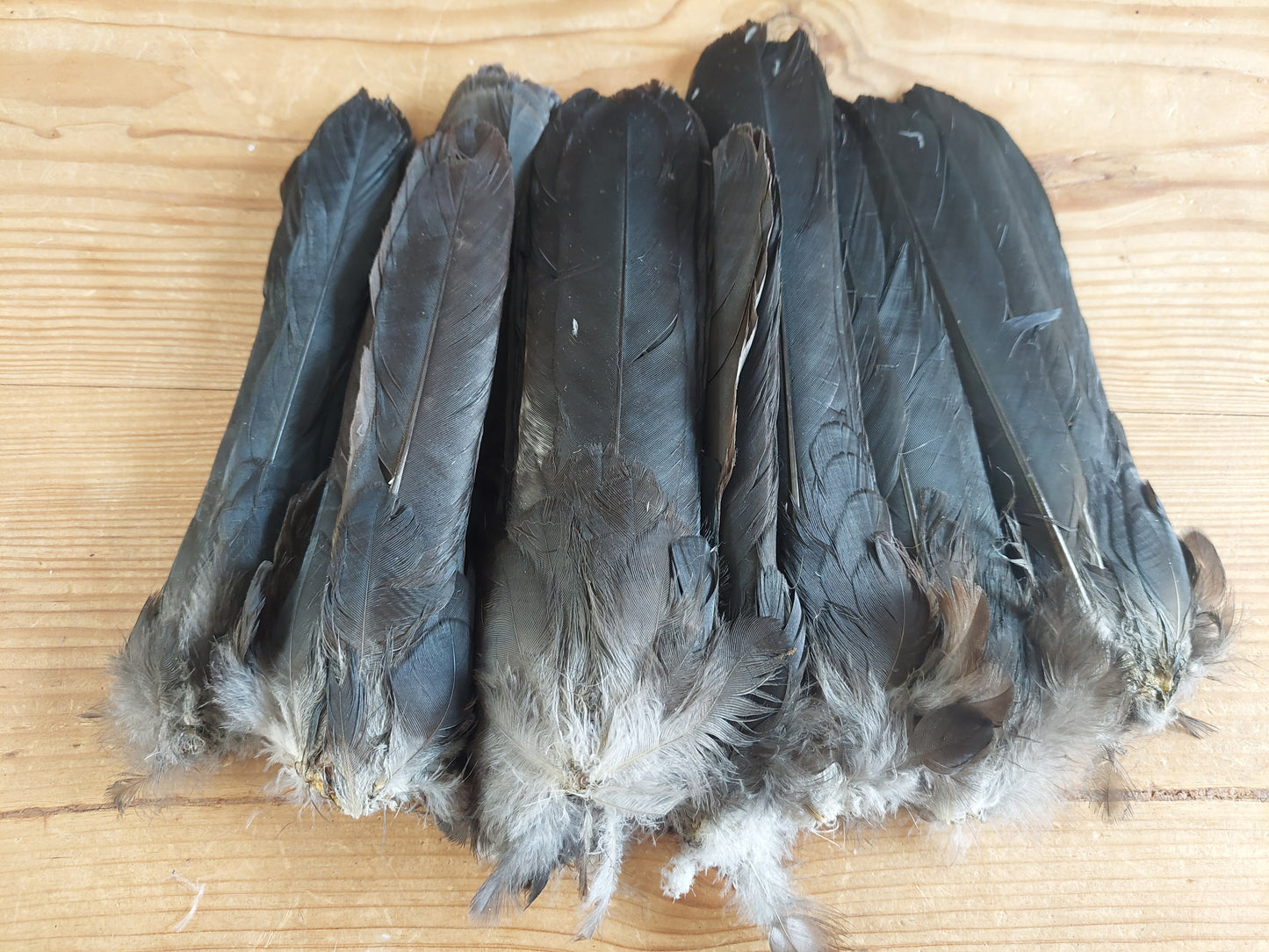 Crow tails