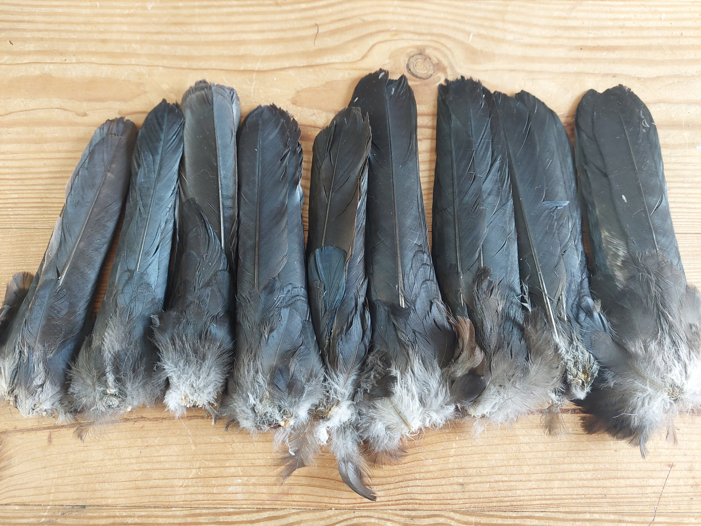 Crow tails