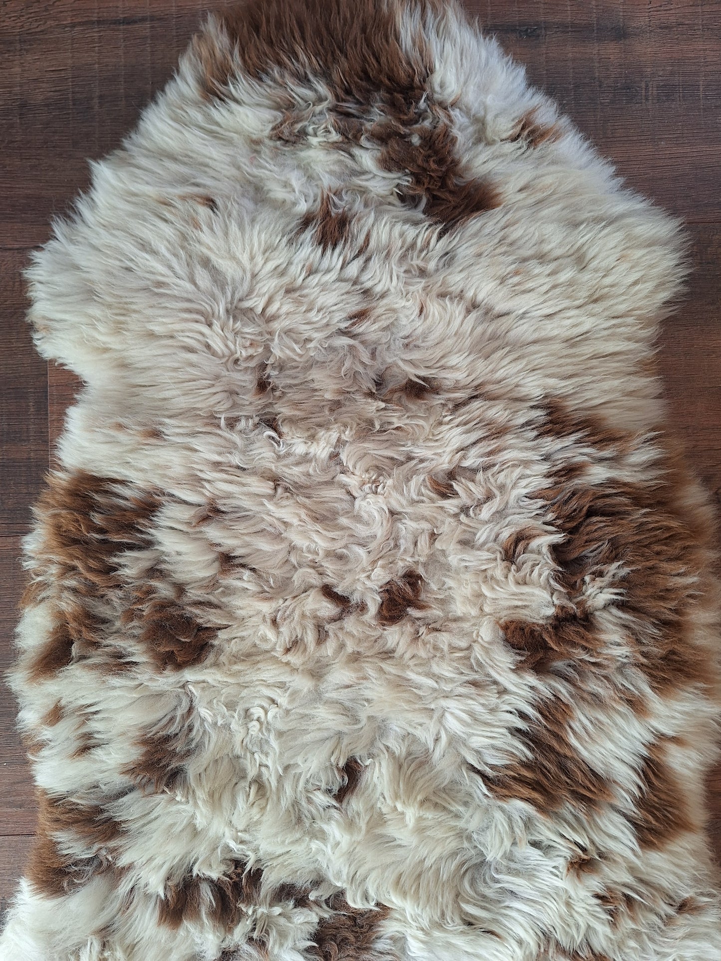 Sheep hide #2