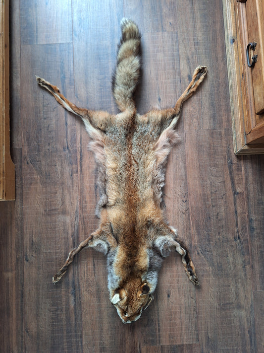 Red fox hide #12