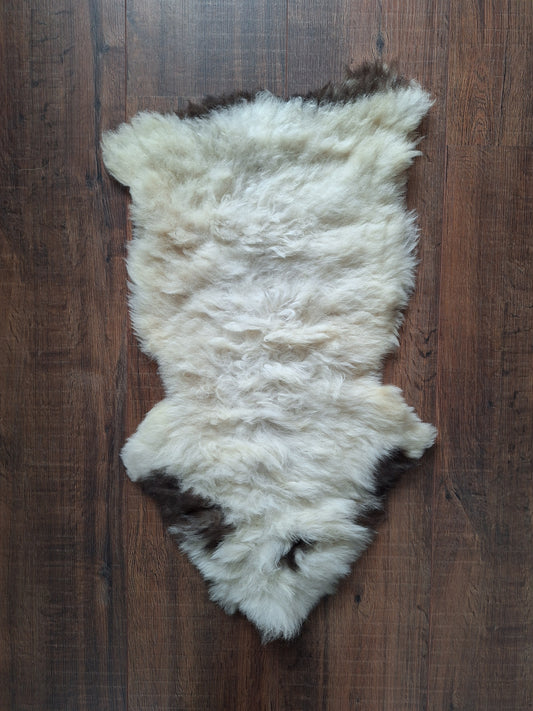 Sheep hide #8