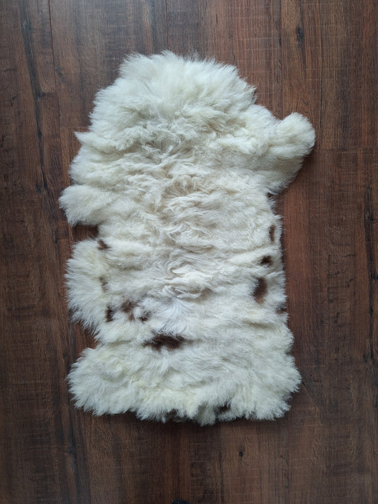 Sheep hide #9