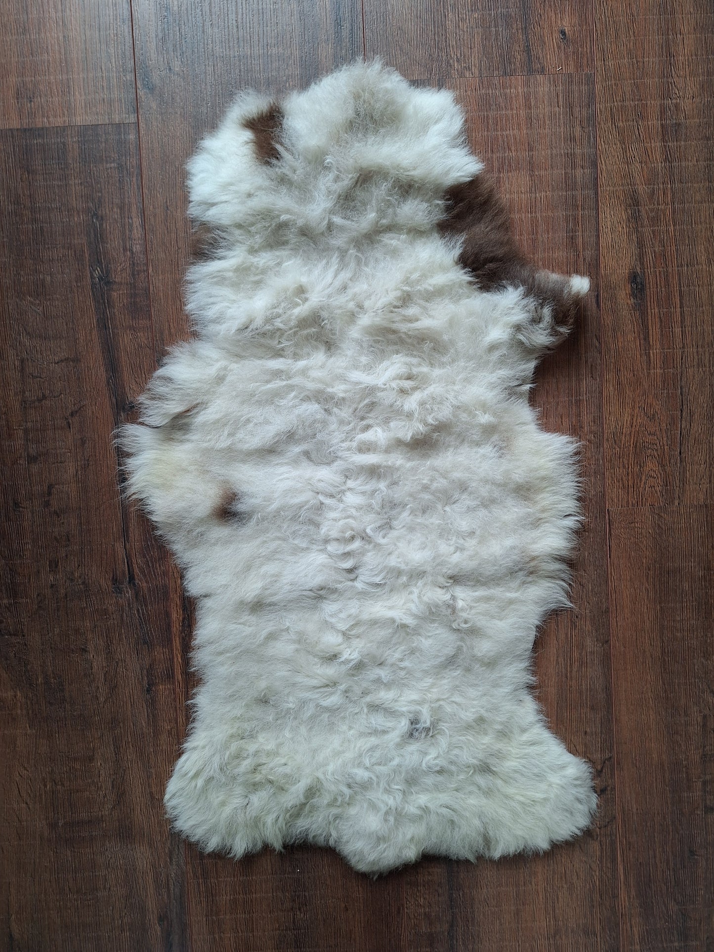 Sheep hide #12