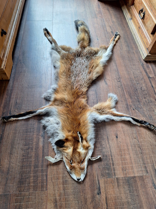 Red fox hide #15