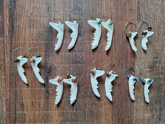 Marten jaw bones amulet earrings