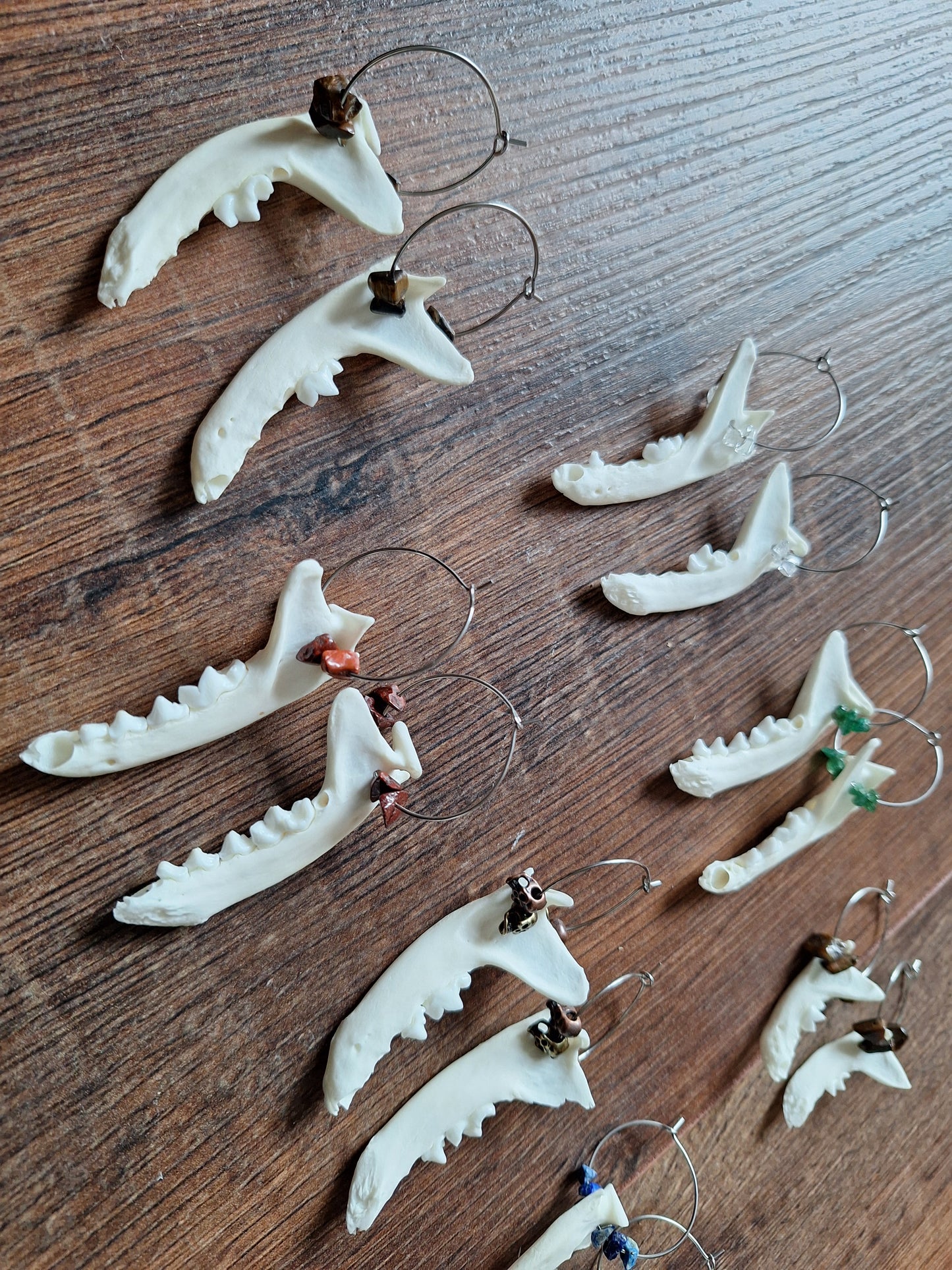 Marten jaw bones amulet earrings