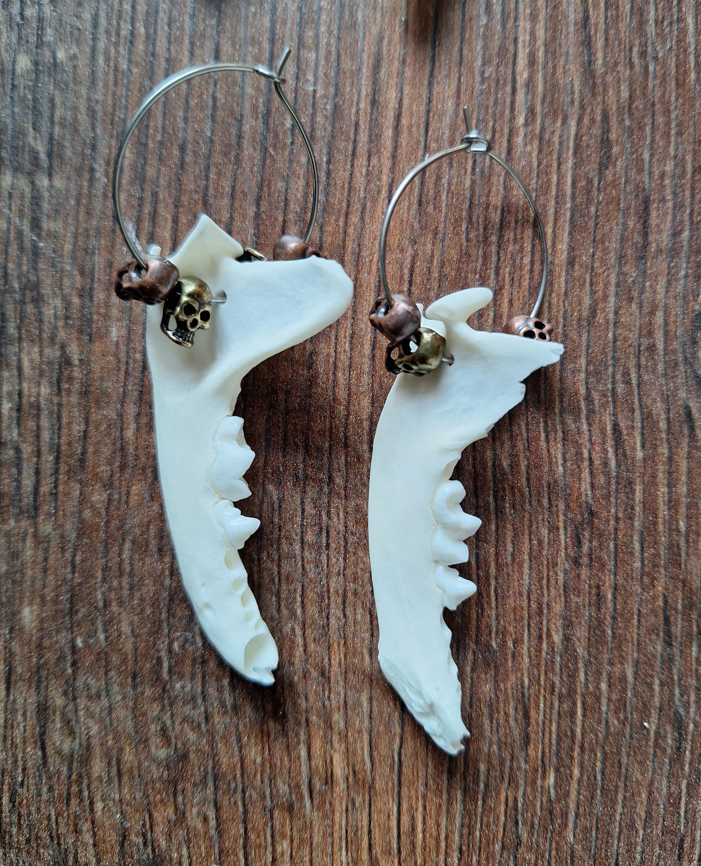 Marten jaw bones amulet earrings