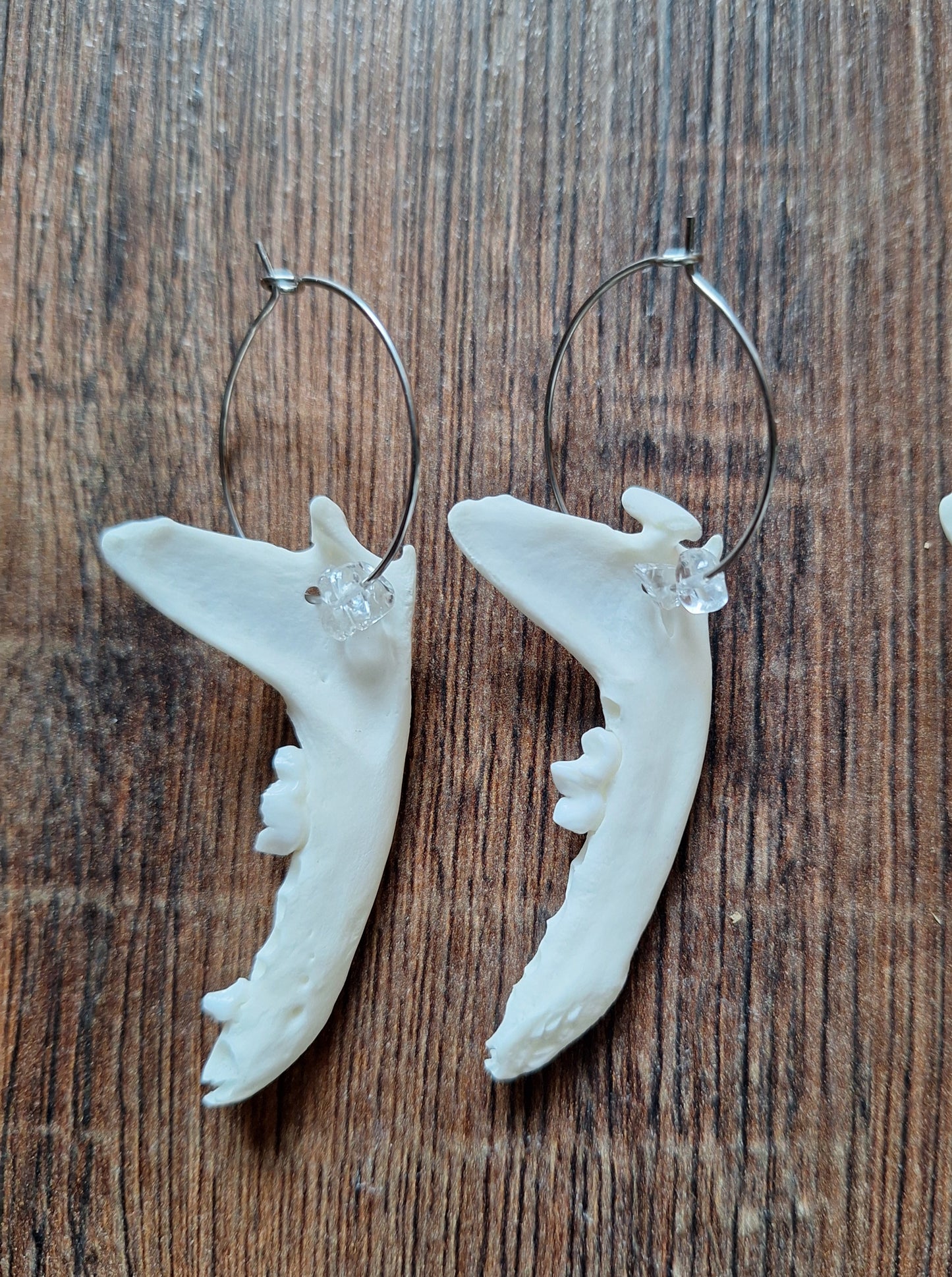 Marten jaw bones amulet earrings