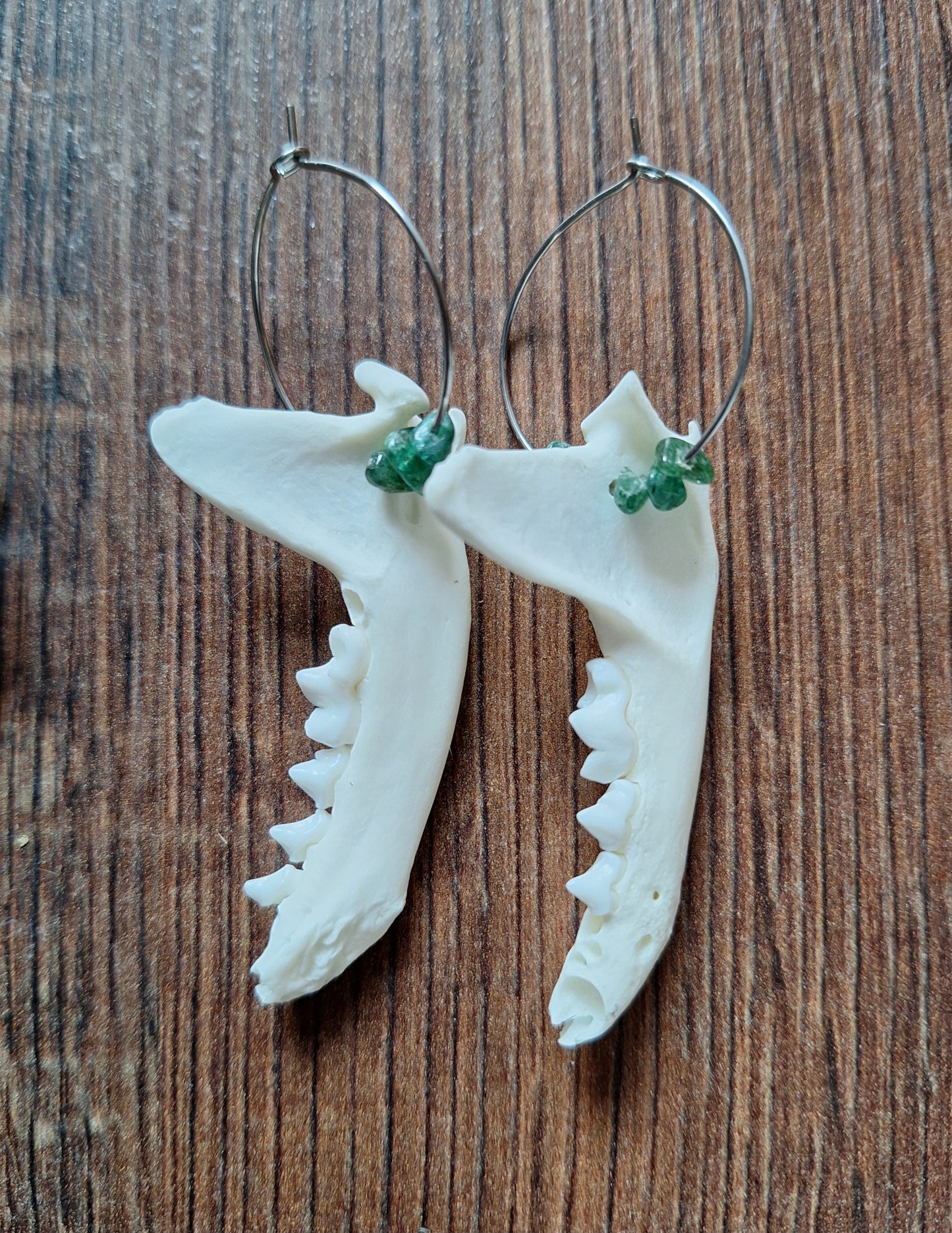 Marten jaw bones amulet earrings