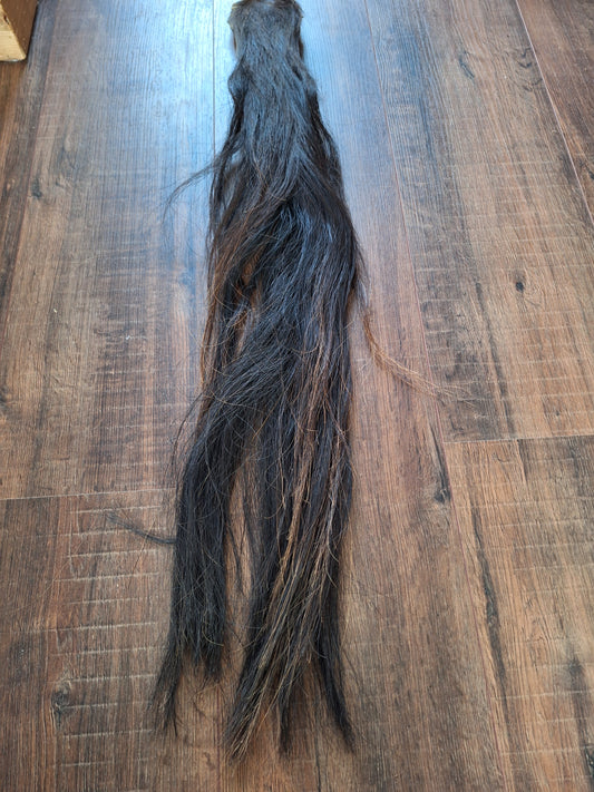 Horse tail #3