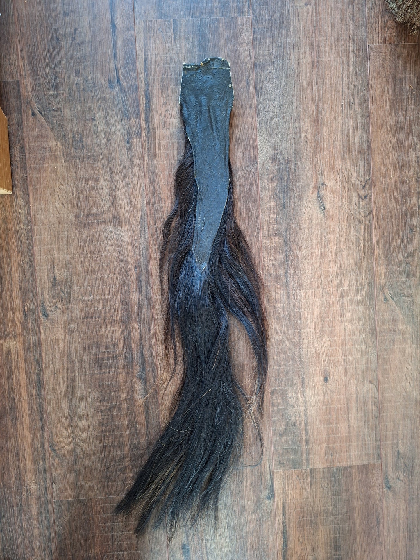 Horse tail #3