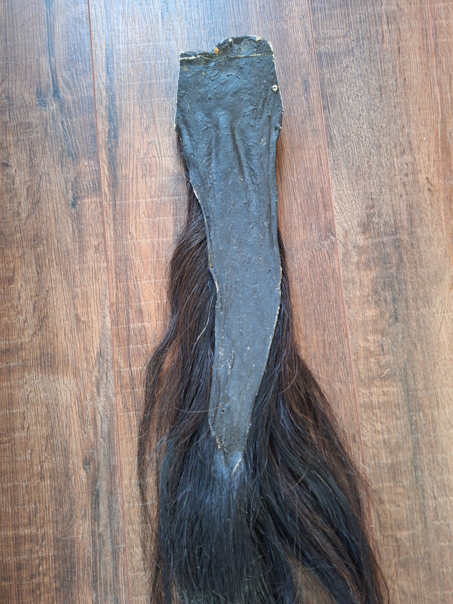 Horse tail #3