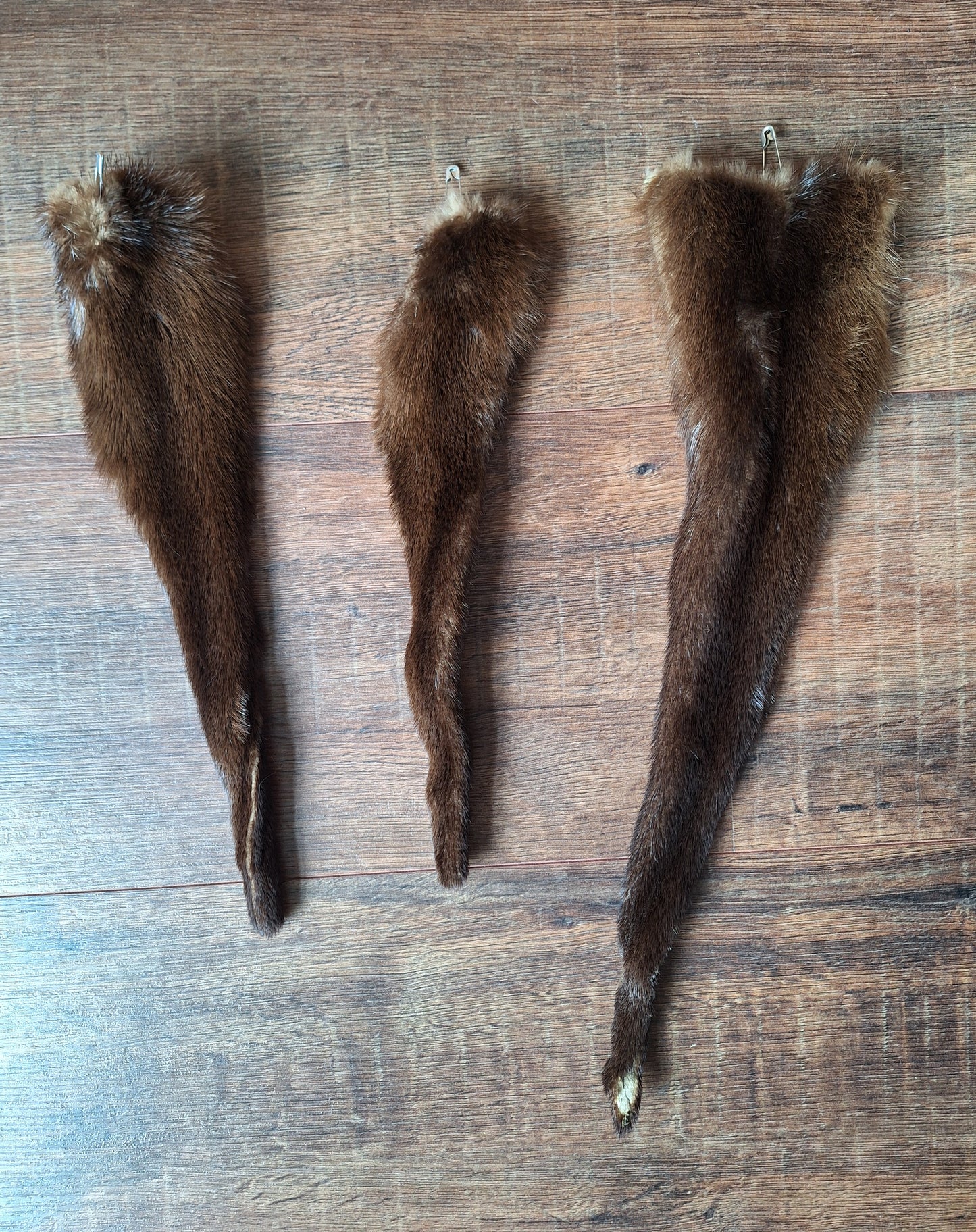 Otter tails