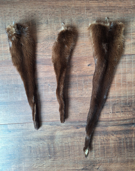 Otter tails