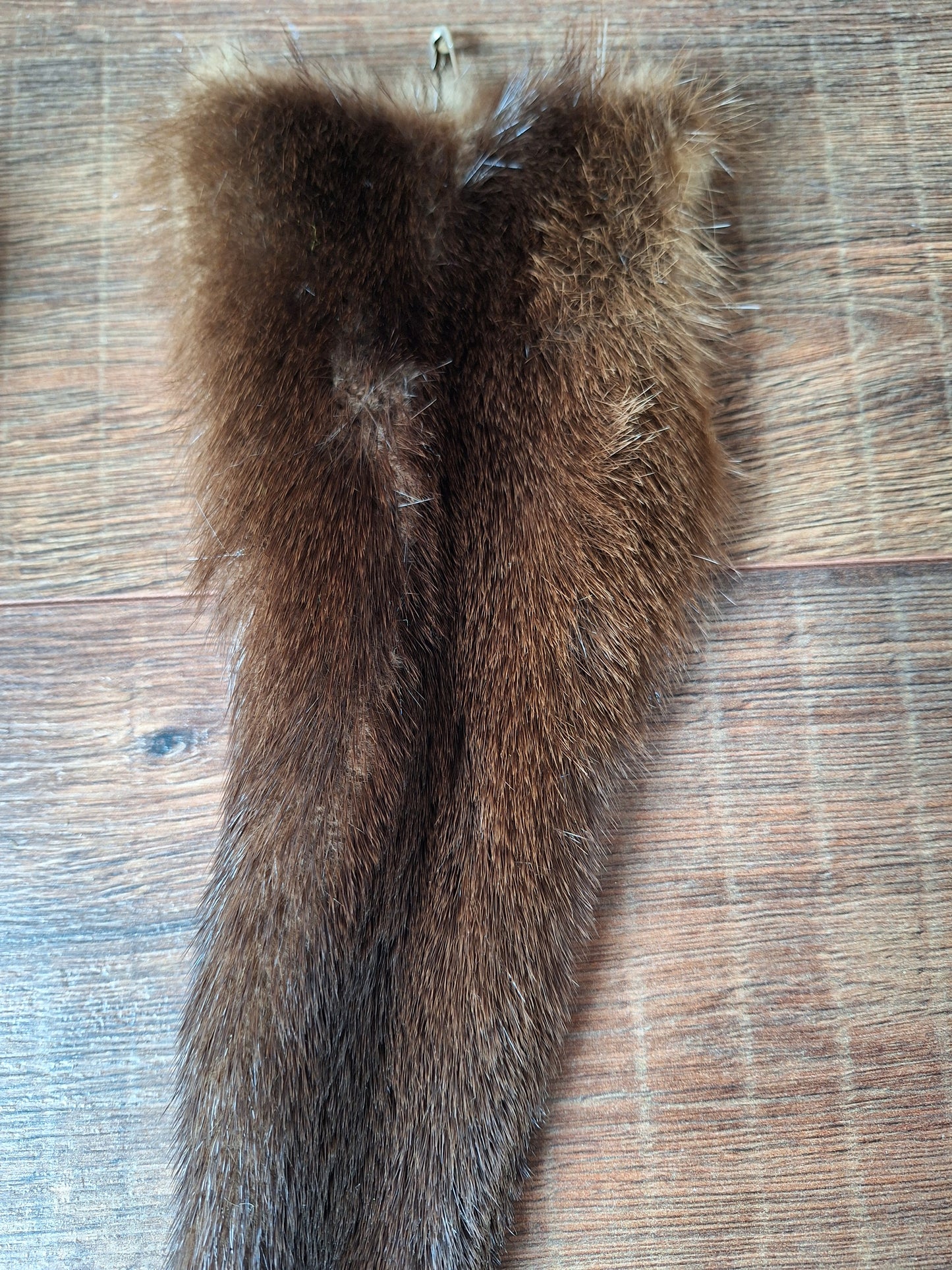 Otter tails