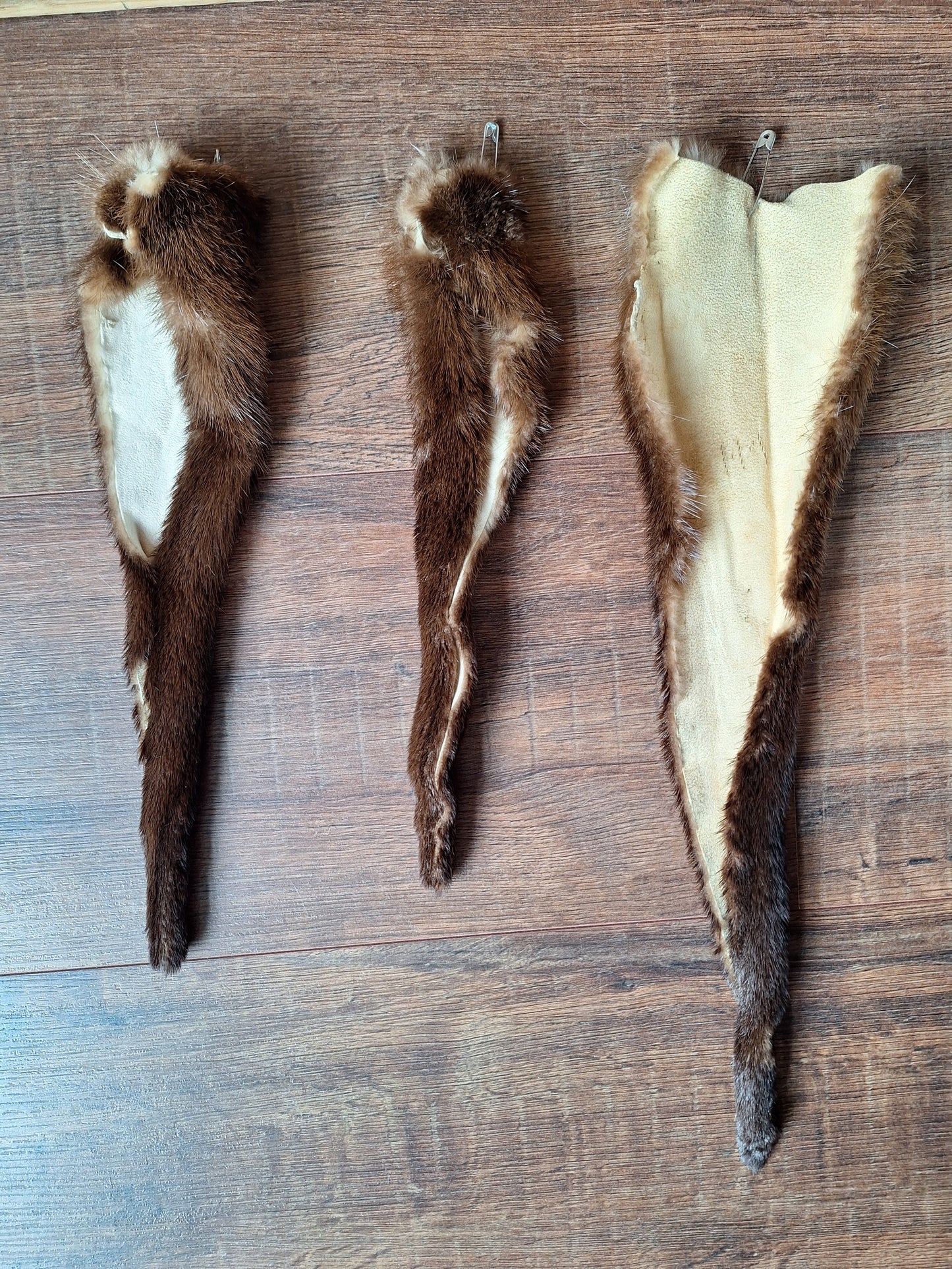 Otter tails