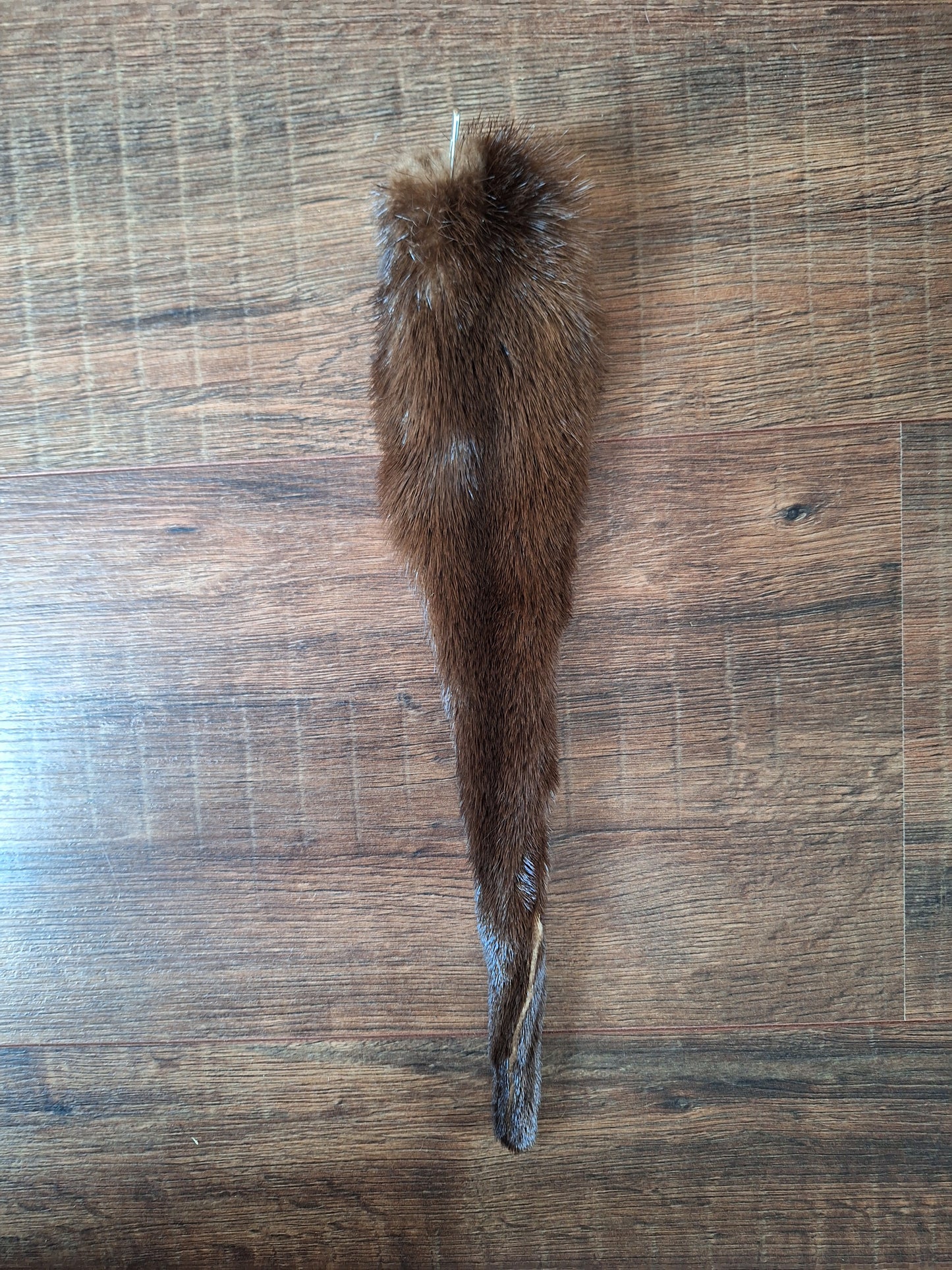 Otter tails