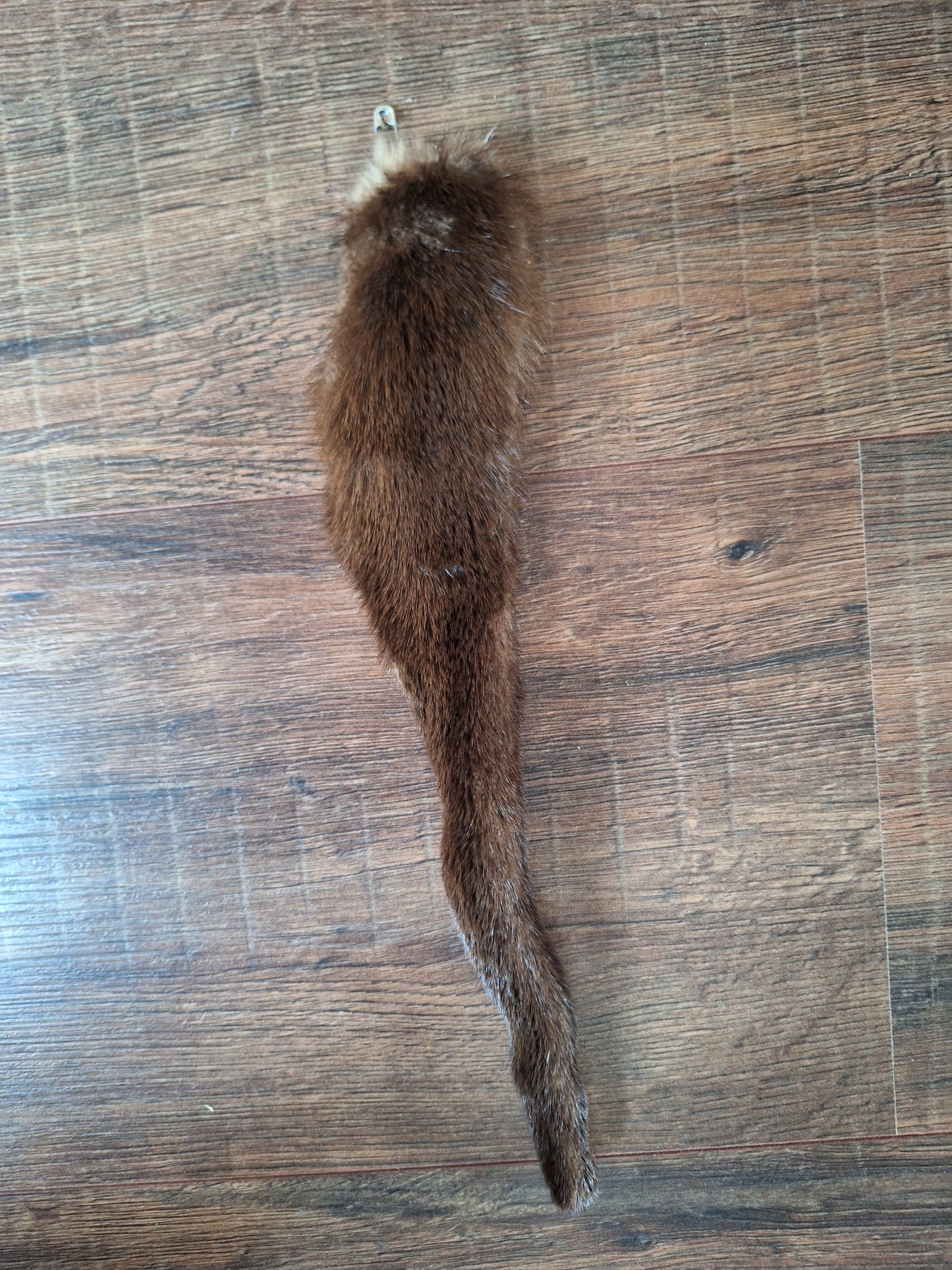 Otter tails