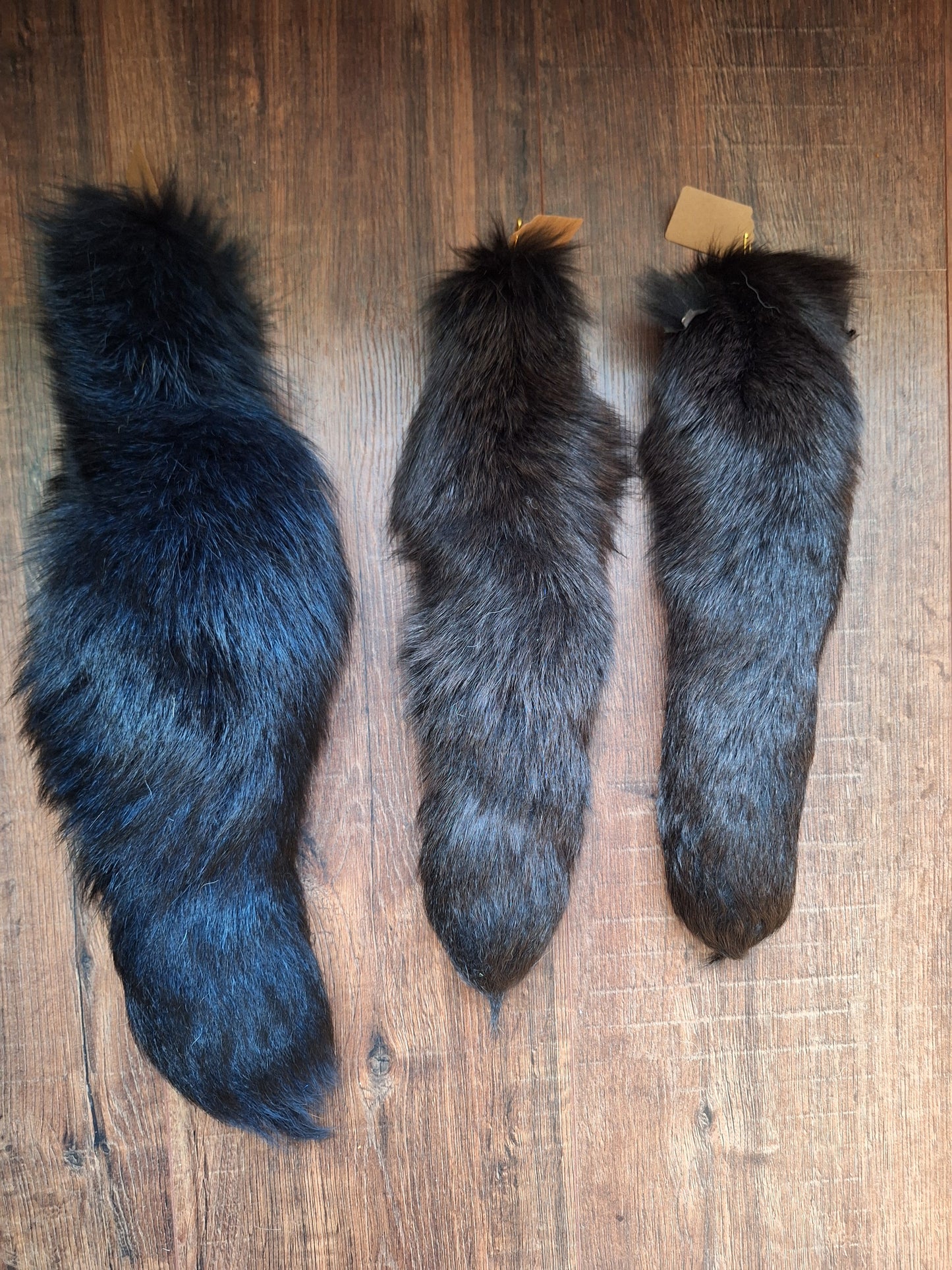 Dark painted fox tails